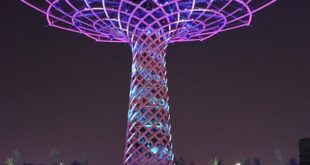 Harbiye'de Sanat Sergisi: Yerel Sanatçılarla Buluşma