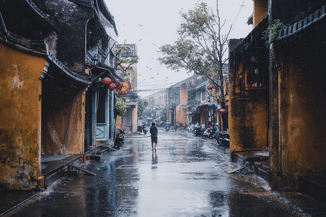 Harbiye'de Sokak Hayvanları İçin Yardım Kampanyası Harbiye'de Sokak Hayvanları İçin Yardım Kampanyası